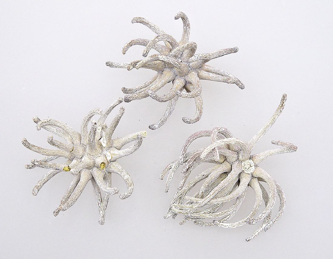 Spidergum Claws GRAU-WASHED 30 Stück Klauen