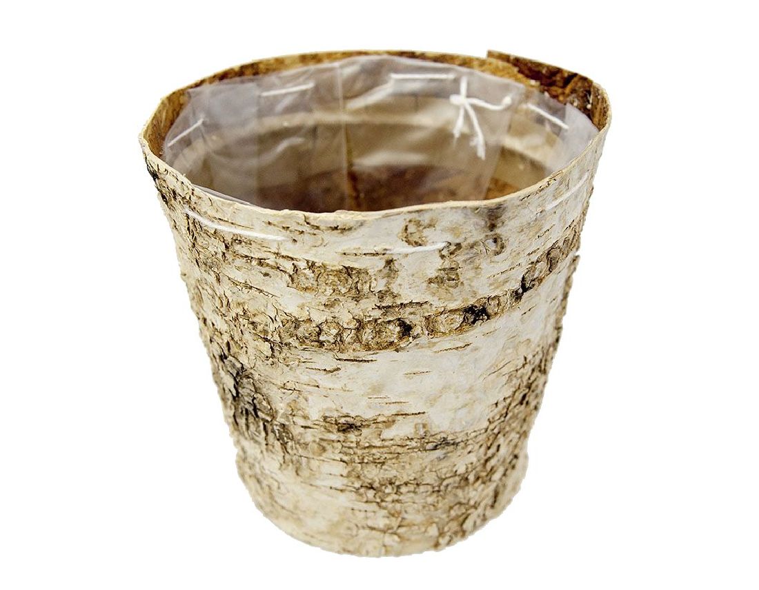 Topf Birke / Birkentopf NATUR Ø9x8cm mit Folie