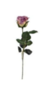 Rose Madame MAUVE 16 Länge:37cm 1333